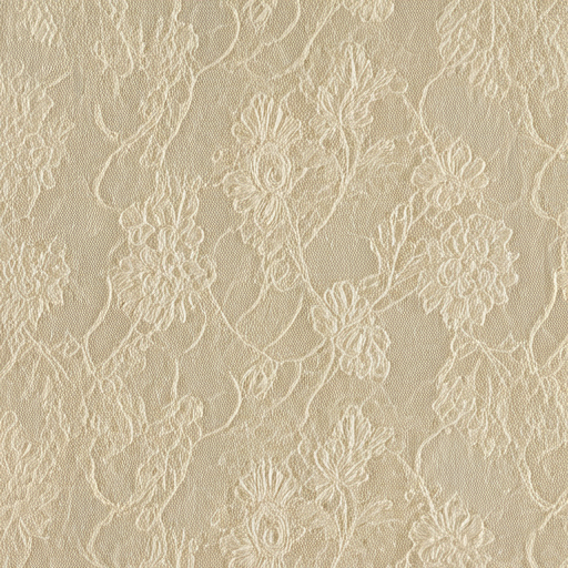 Intricate Schiffli Lace