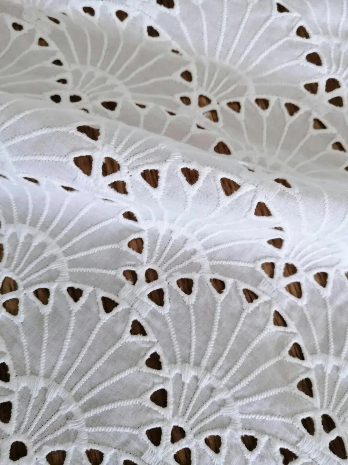 Premium Schiffli Embroidered Cotton Fabric
